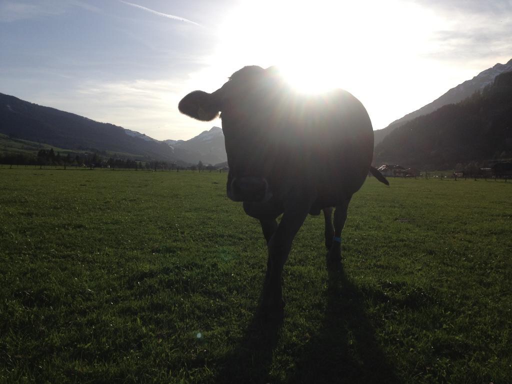 Kleintoedlinggut Villa Leogang Bagian luar foto