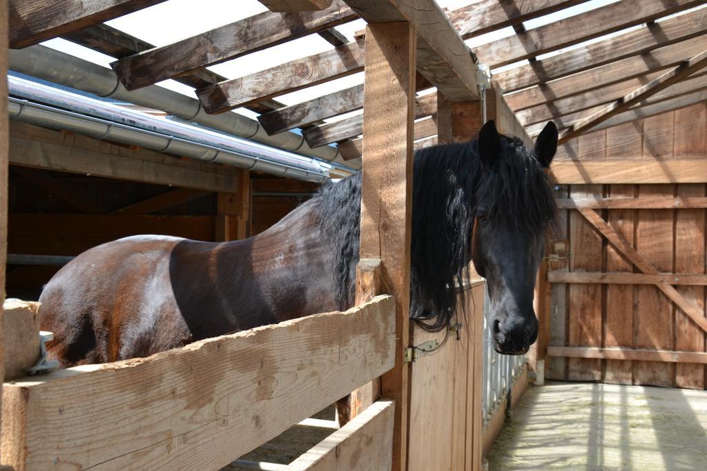 Kleintoedlinggut Villa Leogang Bagian luar foto